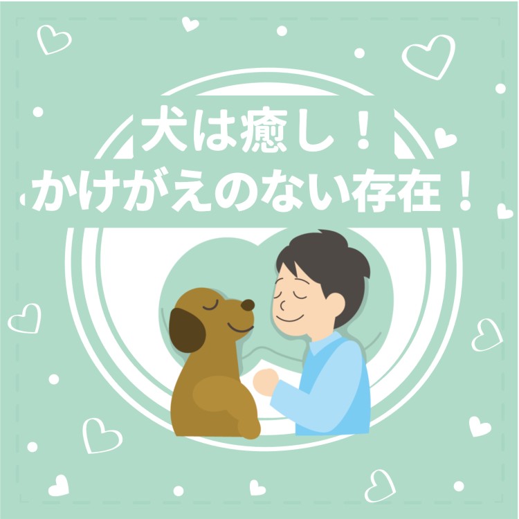 犬は癒し！かけがえのない存在！